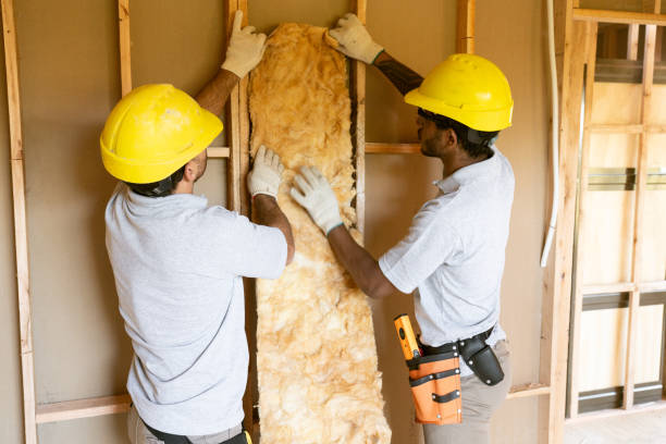 Best Wall Insulation Installation in USA